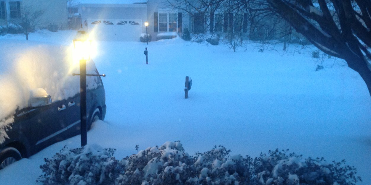 Erika Harvey Nichols banner