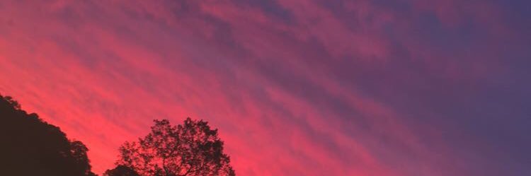 ab_nichol's profile banner image