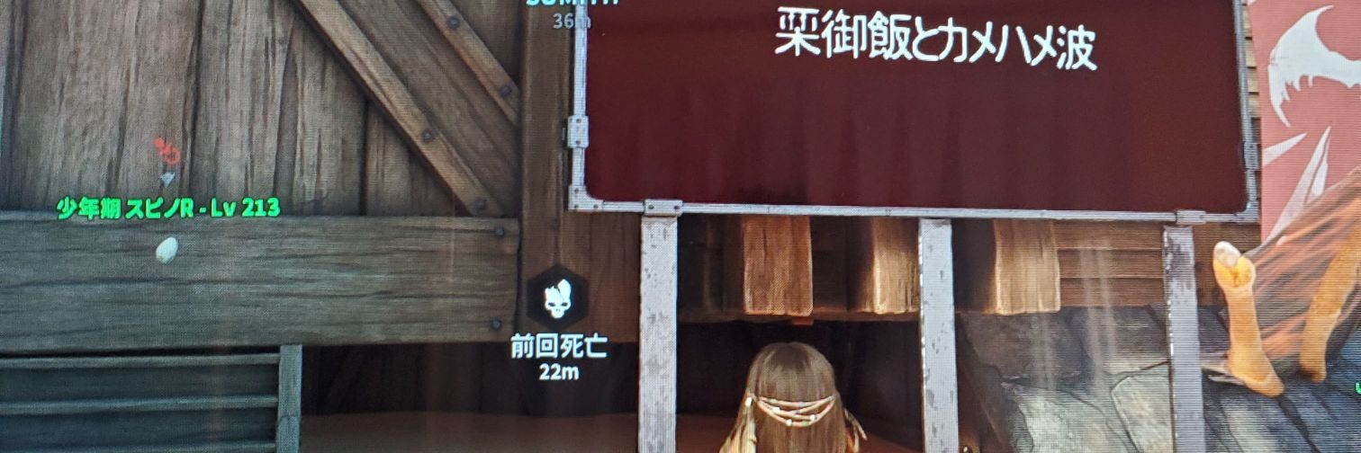 ankorodoan's profile banner image