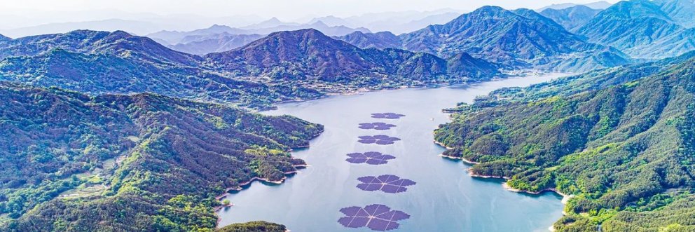 APEC Secretariat banner