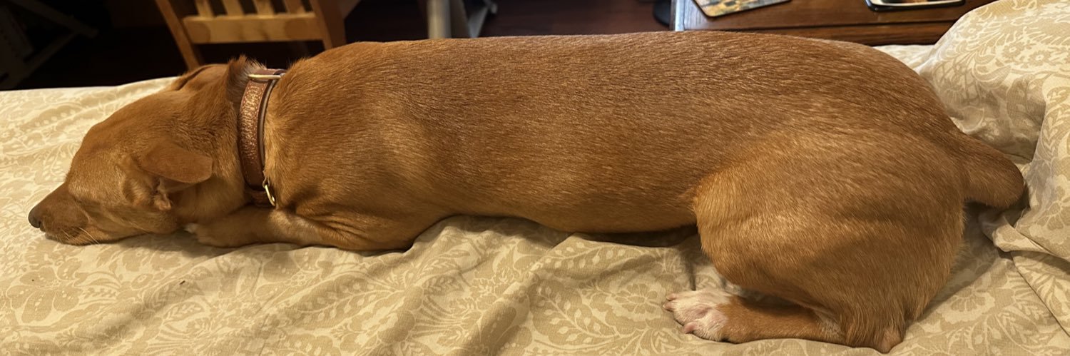 Dirty Shug Sai Baba banner