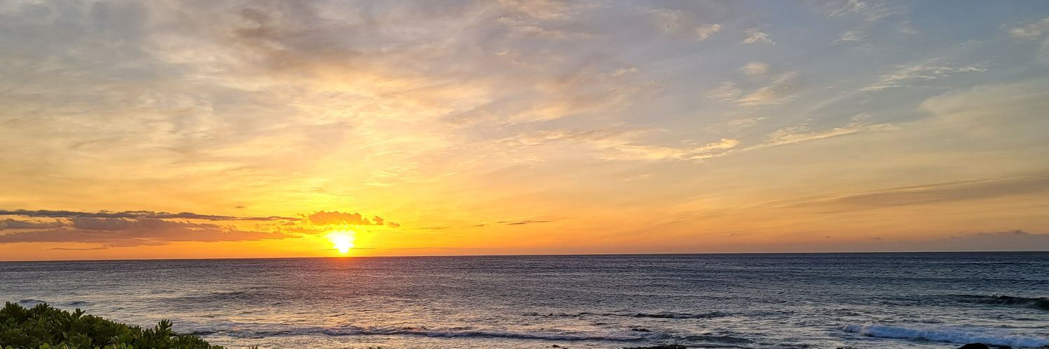 SuperCoolCarly's profile banner image