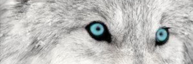 D___Blaze's profile banner image