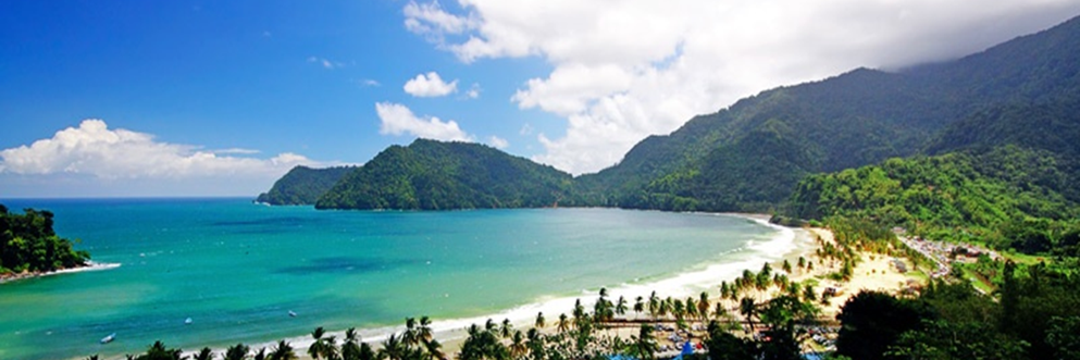 Richard Medford MD banner