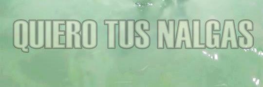 ddarwingg's profile banner image