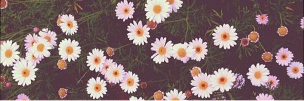 cindyphard's profile banner image