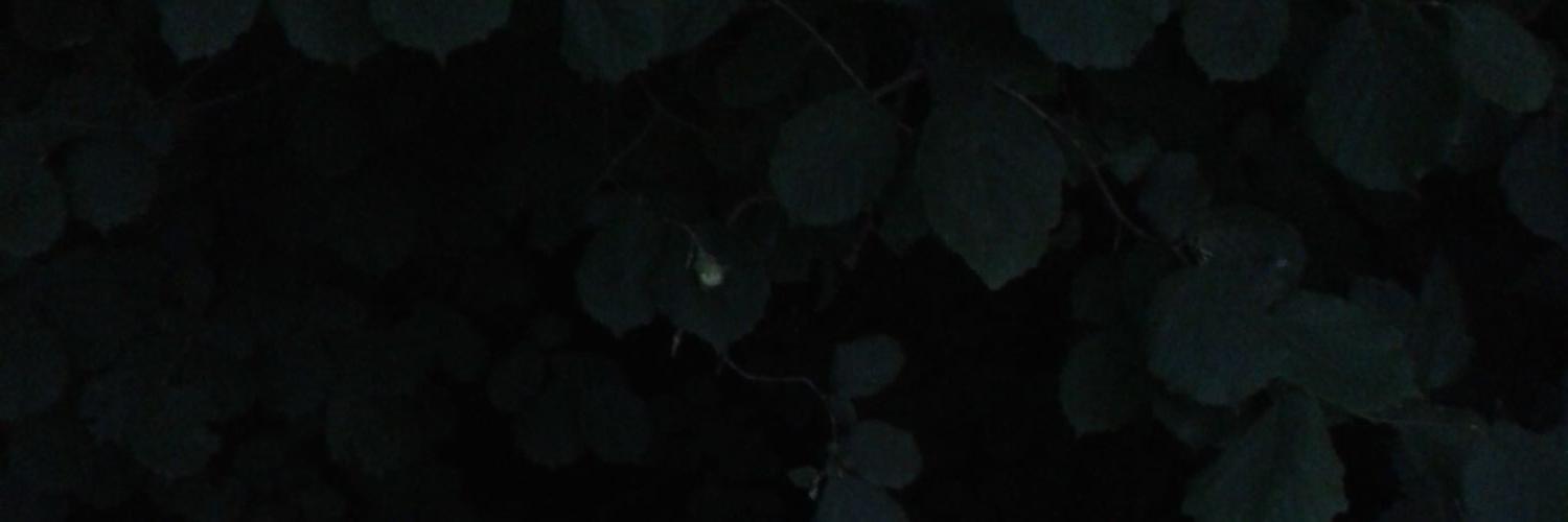 mmyii's profile banner image