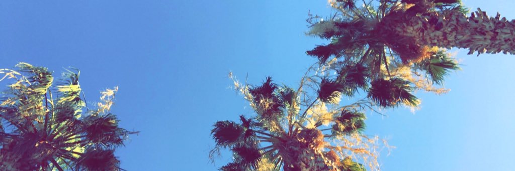 rowdyrio's profile banner image