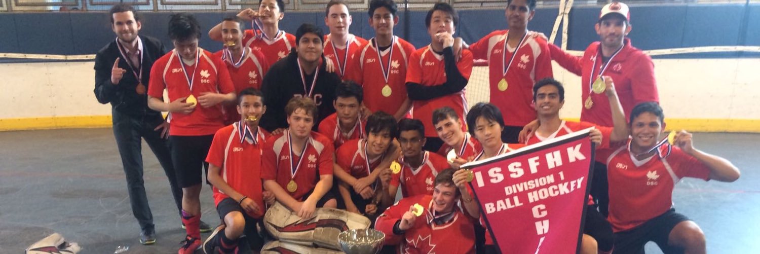 DSCdragons's profile banner image