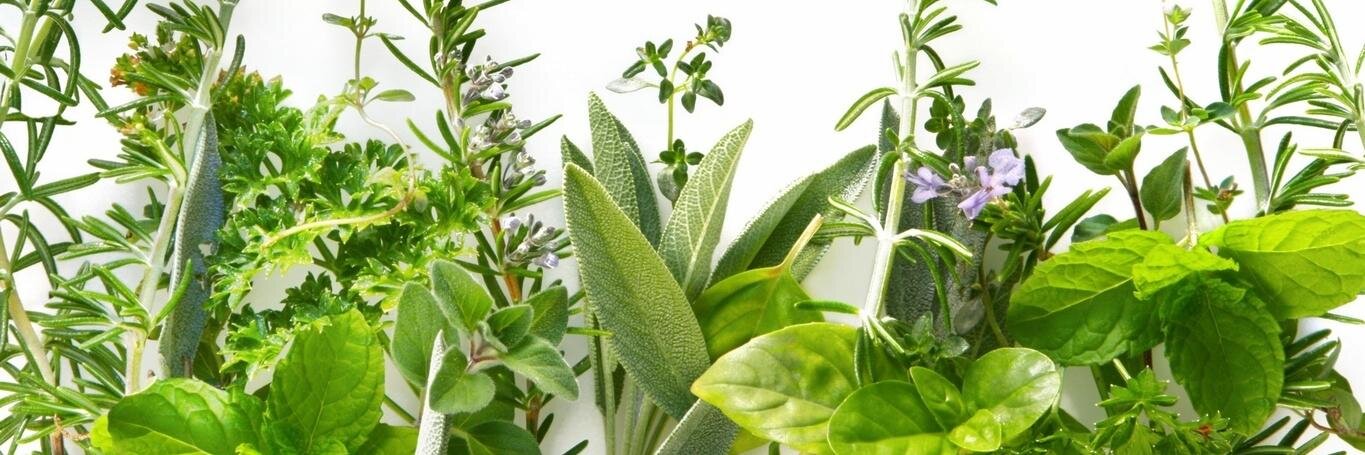 OrganicVapour's profile banner image