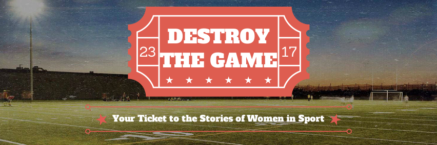DestroytheGameM's profile banner image