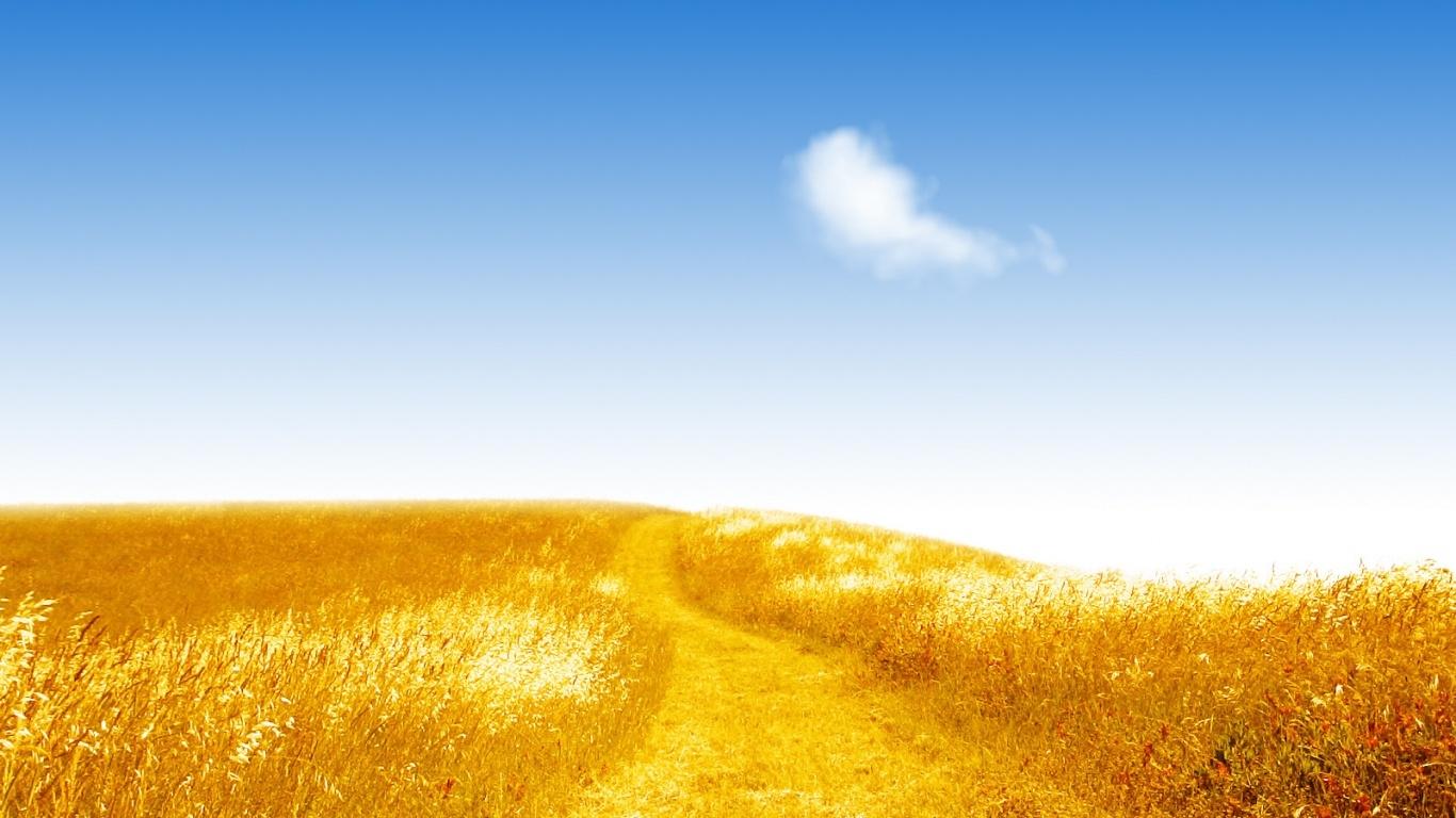 namlihsa's profile banner image