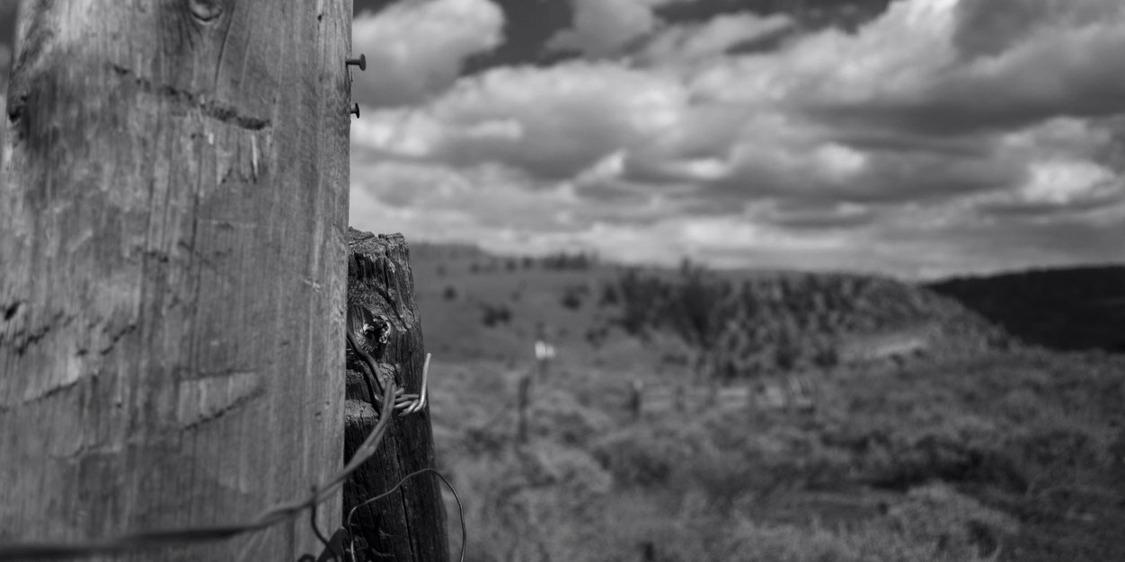 _AKingPhotos's profile banner image