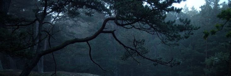 moontombs's profile banner image
