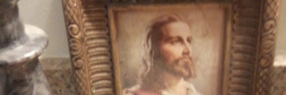 prolifepetition's profile banner image