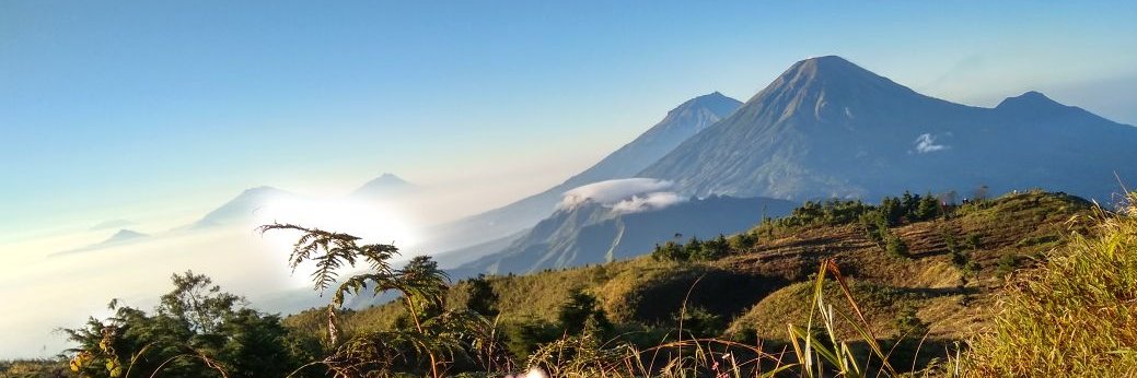 Arini_arinol's profile banner image
