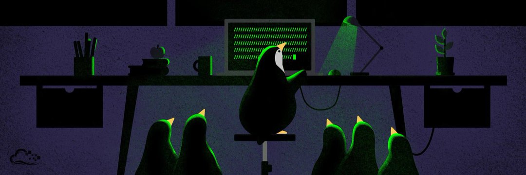 Rodrigo Linux's banner
