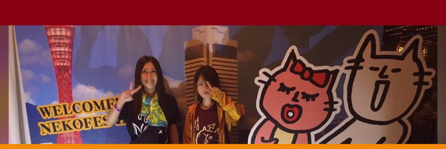 RIN5S's profile banner image