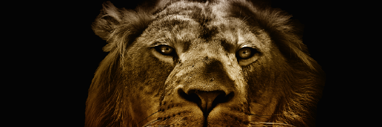 Powerful Ageing banner