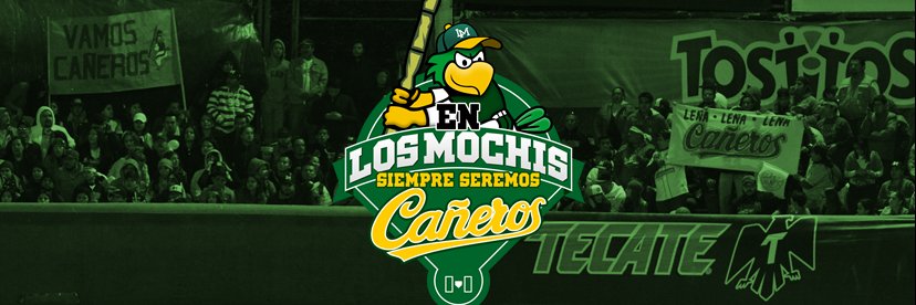 Capi LM banner