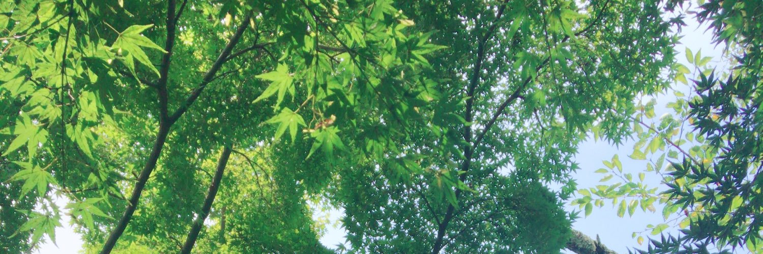 Hikamaru0312's profile banner image