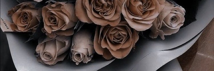 mellowyessi's profile banner image