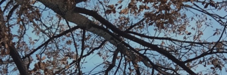 b_veda_'s profile banner image