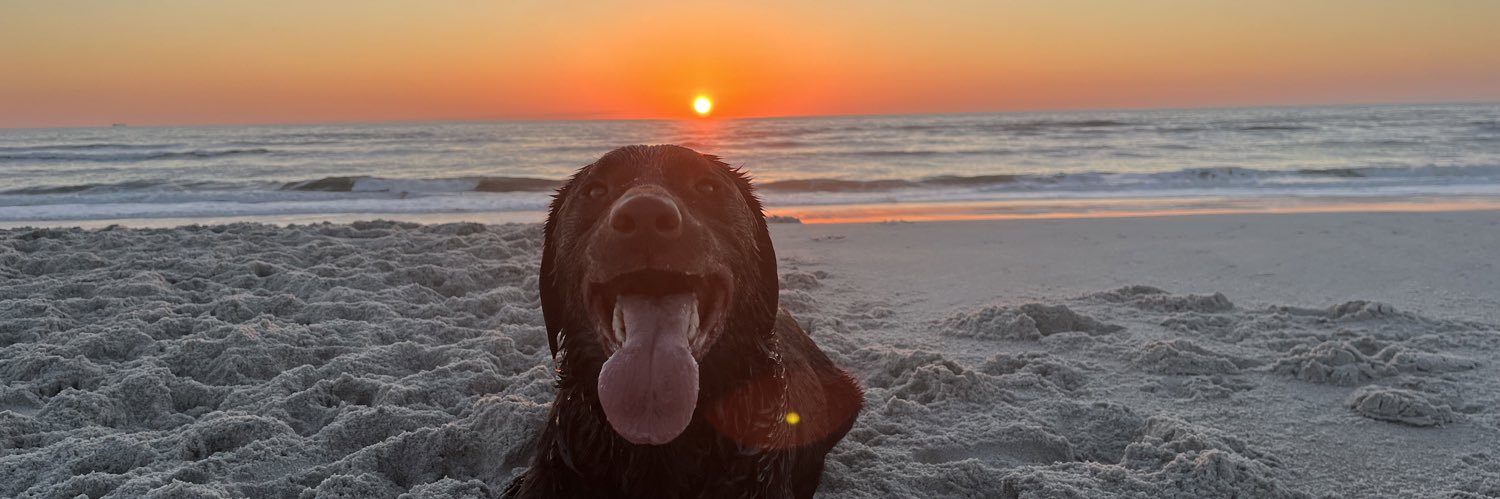 P_Kelley25's profile banner image