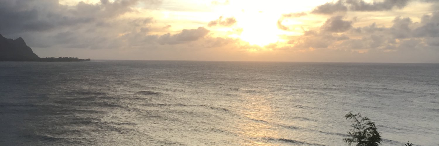 Michelle Adinolfi Smith banner