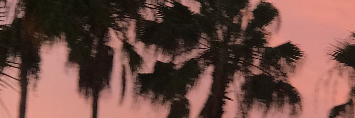 willwrk4surf's profile banner image