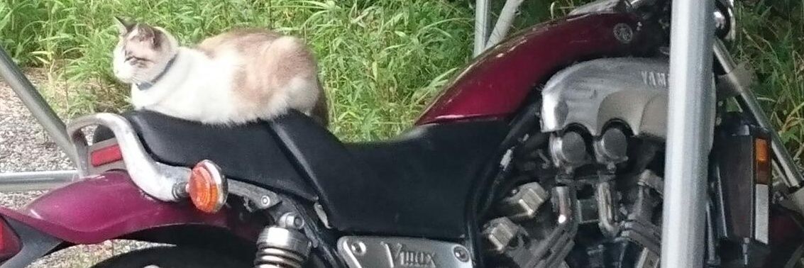 町田 滋⛩️ banner