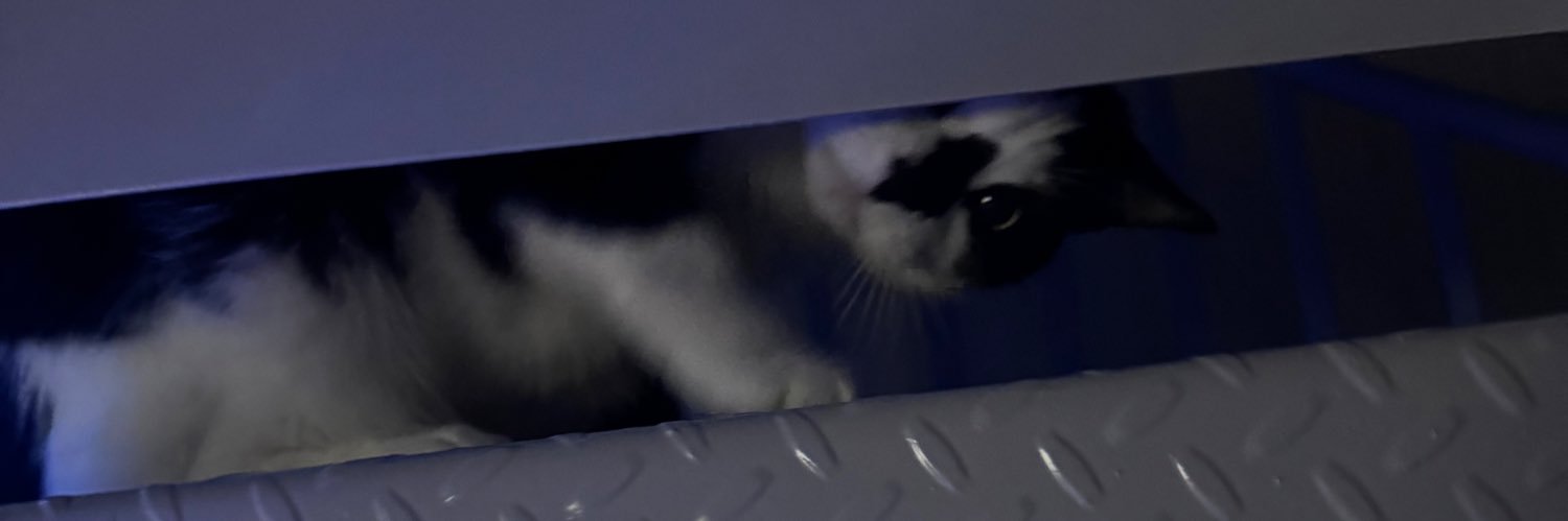 htmsrpc's profile banner image
