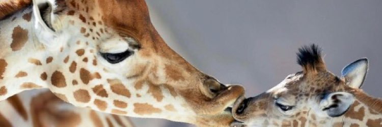 Mander0930's profile banner image