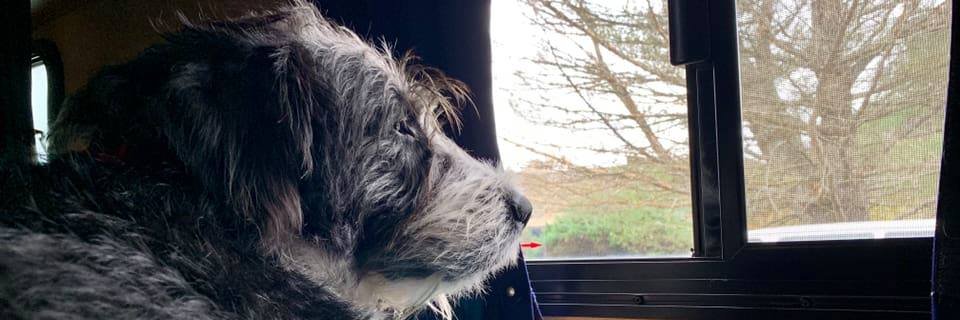 abbybecker's profile banner image