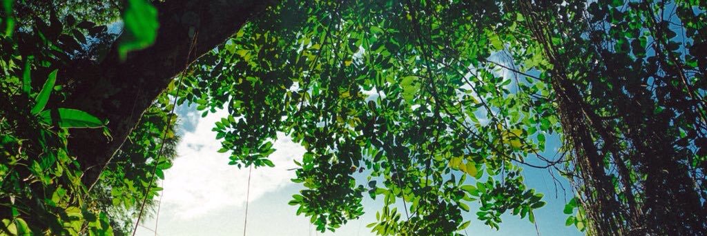 MahriCrazy's profile banner image