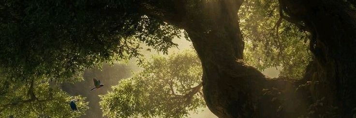 arpitnariya's profile banner image