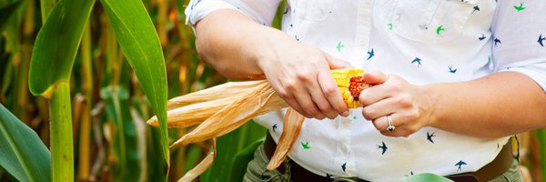 ClaireSCowan Profile Banner