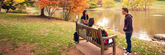 George H. Cook banner