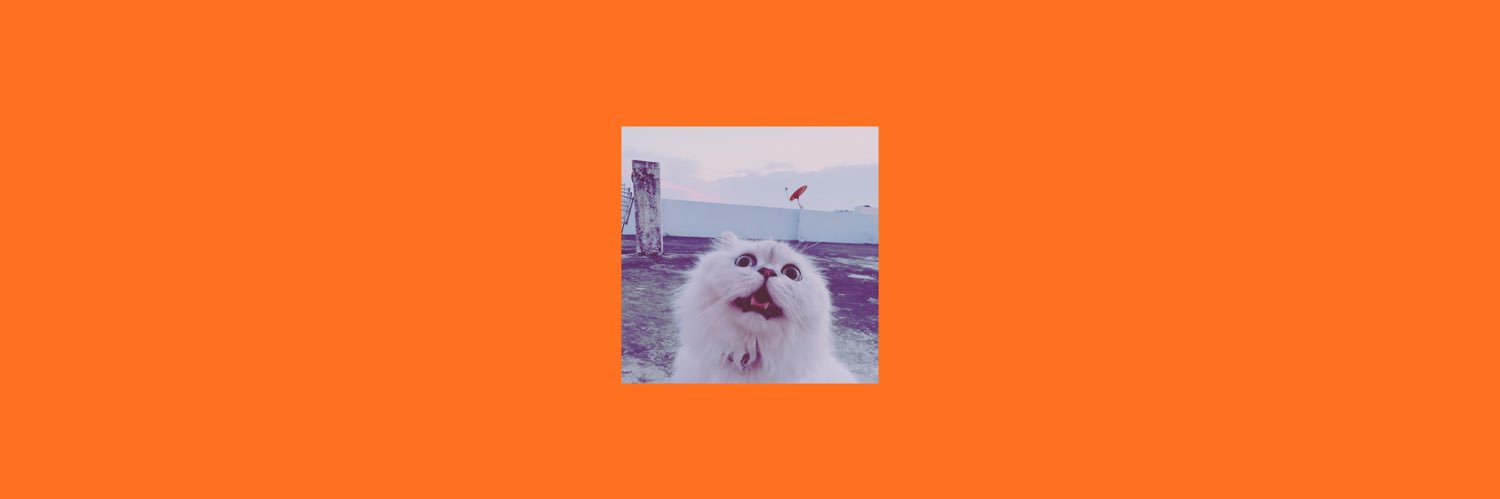 supizz_'s profile banner image