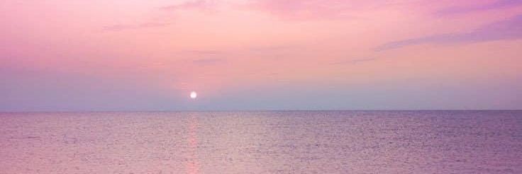 vinroha97's profile banner image