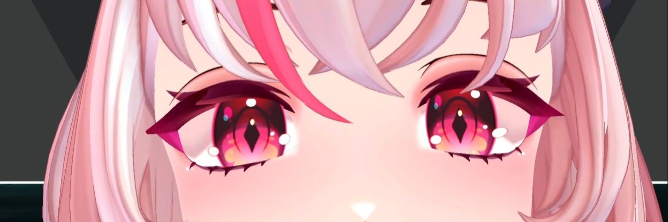 Bernie banner