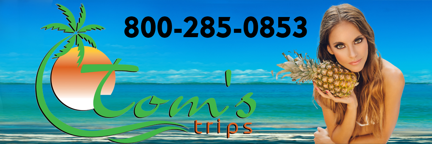 Toms Trips banner