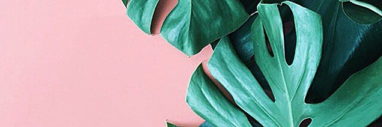 Anitadump234's profile banner image