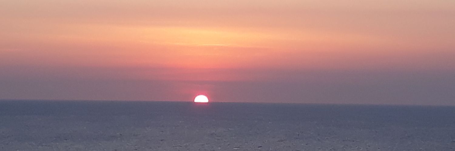 Shesnardajsr's profile banner image