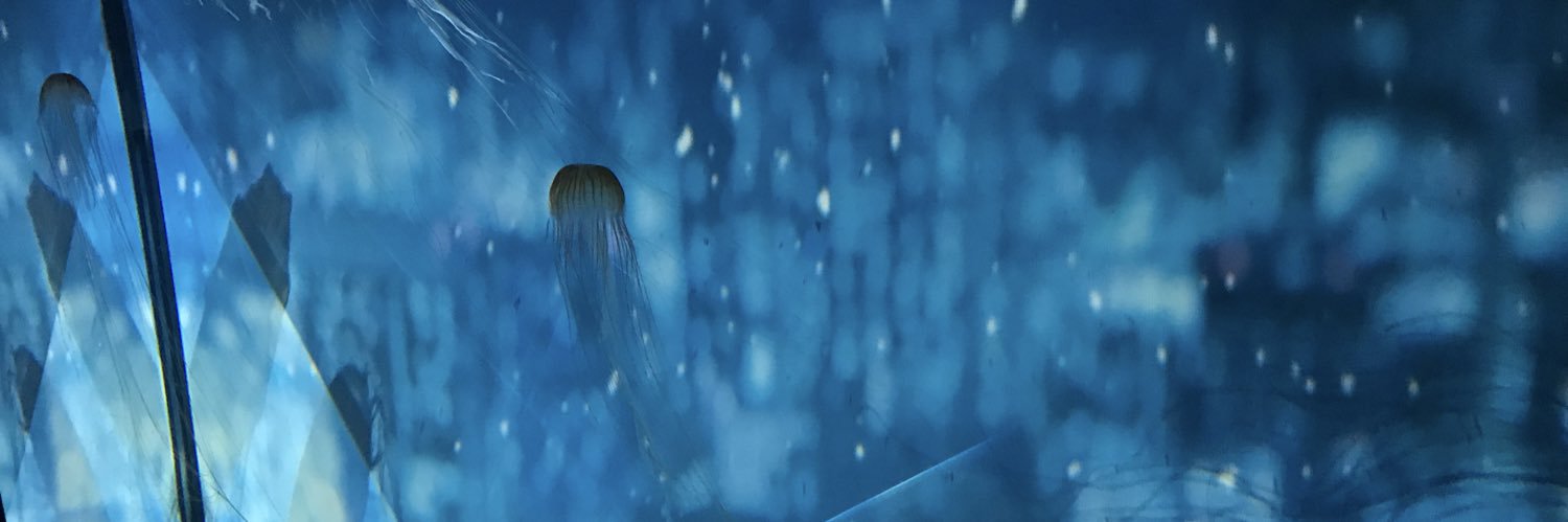 ryoki_baske94's profile banner image