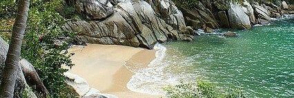 Jasmine Santana banner