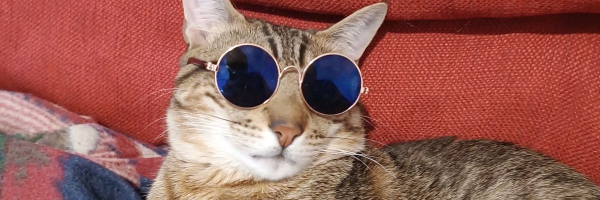natytaranto's profile banner image