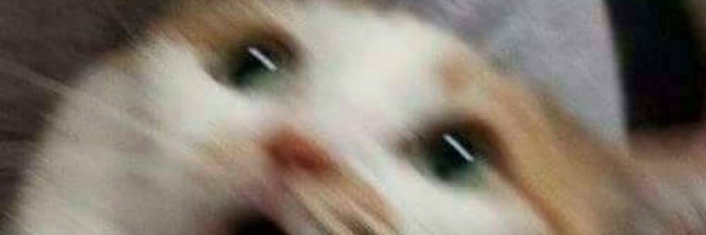 Not_Doof's profile banner image