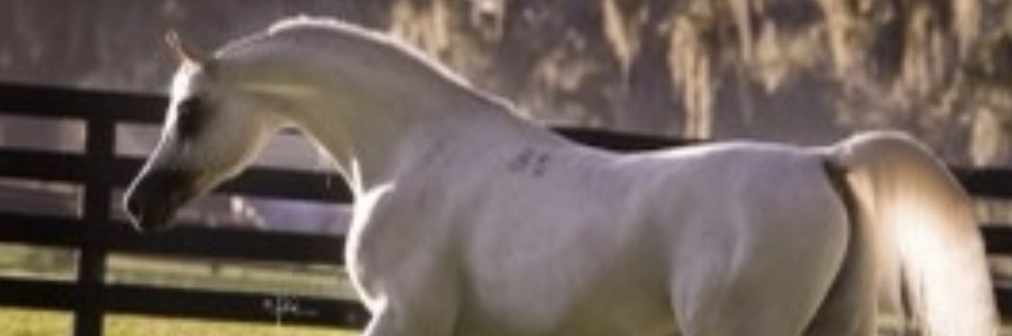 E7__0's profile banner image