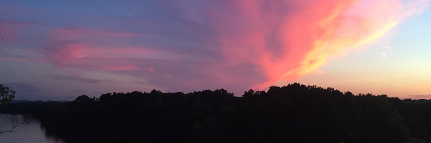 MsAmickInAction's profile banner image